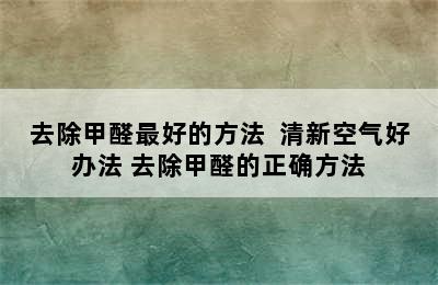 去除甲醛最好的方法  清新空气好办法 去除甲醛的正确方法